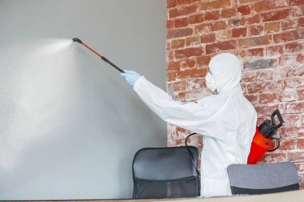 Best Forensic Mold Investigation  in Ellijay, GA