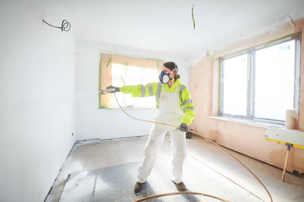 Best Black Mold Removal  in Ellijay, GA