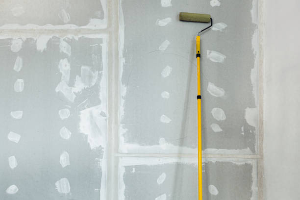 Best Mold Documentation for Insurance Claims  in Ellijay, GA