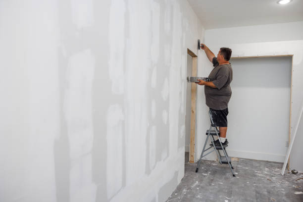 Best Asbestos and Lead Testing During Mold Inspection  in Ellijay, GA