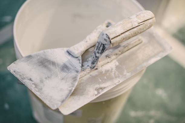 Best Basement Mold Removal  in Ellijay, GA